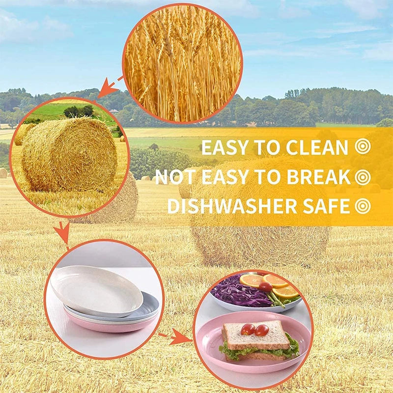 4Pcs Wheat Straw Plates Set