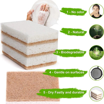 "Biodegradable Kitchen Sponges"